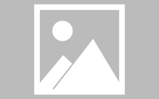公主岭自助网站建设怎么建设的（自助网站建设平台）